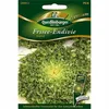 Semi di Quedlinburger Saat - Frisee-Endivie Myrna - semi - Anteprima dell’immagine prodotto 1