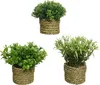 Plante artificielle dans pot tressé 13cm, 1 pièce assortie Voir les images du produit 1