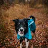 Non-stop dogwear FJORD RAINCOAT 2.0 teal |296| Regenschutz, Produktbild-Vorschau 2
