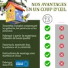 Eli® Kit de cabane à oiseaux en pin pour enfants comprenant Voir les images du produit 5