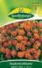 Studentenblume, Bolero Produktbild-Vorschau 1