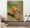 MuchoWow® - Leinwandbilder - Vogel - Rotkehlchen - Produktbild-Vorschau 7