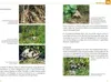 Freigehege für Europäische Landschildkröten Náhľad obrázku produktu 5