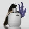 A bottle of Lacoste L.12.12 Silver Grey Eau De Parfum is displayed with natural elements. Voir les images du produit