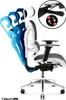 An ergonomic office chair with adjustable features. Voir les images du produit