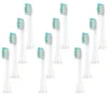 12 testine di ricambio per spazzolino elettrico Philips Anteprima dell’immagine prodotto 1