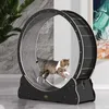 Běžecký pás Cat velikosti L | Canadian Cat | BLACK EDITION Náhled obrázku produktu 2