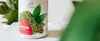 NutrisslimMatcha en poudre 70 g Voir les images du produit 4