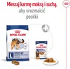 Royal Canin Maxi Adult - 15 kg Produktbild-Vorschau 11