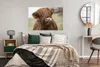 MuchoWow® Poster Schottischer Highlander - Braun - Tiere Produktbild-Vorschau 4