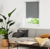 A living room scene with a sofa, coffee table, and a large plant. Anteprima dell’immagine prodotto