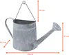 Halbe Zink Gießkanne zum bepflanzen - ca. 43 cm - Produktbild-Vorschau 2