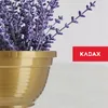 KADAX Schale aus Kunststoff, runde Blumenschale, Produktbild-Vorschau 6