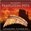 Die gröáten Panflöten Hits Produktbild-Vorschau 1