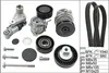 Wasserpumpe + Keilrippenriemensatz INA 529 0053 30 Produktbild-Vorschau 1