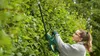 Bosch EasyHedgeCut 18-52-13 - Taille-haies - sans fil 2 Ah Voir les images du produit 18