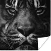 MuchoWow® Poster Tiere - Tiger - Wild - Schwarz - Weiß Produktbild-Vorschau 1