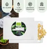 Chili Samen (Early Jalapeno, 5.000 Scoville) - Chili Produktbild-Vorschau 4