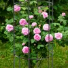 KADAX lezecká podpora "Toara", lezecký obelisk 80cm, Náhľad obrázku produktu 6