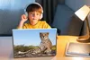 MuchoWow® Laptop Aufkleber Sticker Cover Leopard - Tiere - Produktbild-Vorschau 3
