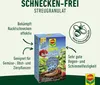 COMPO Schnecken-frei 1 kg / 4x250g Schneckenfrei Produktbild-Vorschau 2