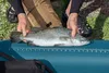 Bestway® Hydro Force® Kajak-Set Angler Elite™ mit Produktbild-Vorschau 9