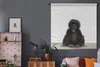 MuchoWow® Wandteppich Wandbehang Kind - Affe - Schimpanse - Produktbild-Vorschau 5