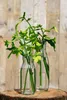 Deko-Glasflaschen, 24 Stück, Maße ca. 14x6cm, 250ml | Produktbild-Vorschau 6