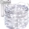 A coil of white LED string lights with a battery pack. Voir les images du produit