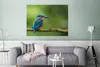 MuchoWow® Poster Eisvogel - Zweig - Moos - Vogel - Grün Produktbild-Vorschau 5
