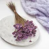 Getrocknete Glixia BIG (Comanthera) - Lavendel Produktbild-Vorschau 4