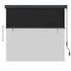 vidaXL Store extérieur 160x250 cm Anthracite Voir les images du produit 2