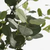 Mica Decorations Eucalyptus plante artificielle dans pot de Voir les images du produit 3