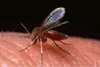 MOUSTI-Click - Premiers secours contre les piqûres Voir les images du produit 9