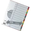 Pagna Register A4 XXL 12tlg. 6-farbig Produktbild-Vorschau 2