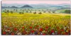 Coloray Glasbild 140x70  Wandbild Glasbilder Italienische Produktbild-Vorschau 1