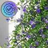 Fiori artificiali decorativi appesi, 3 pezzi, viola Anteprima dell’immagine prodotto 7