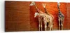 Bild auf Leinwand - Leinwandbild - Tiere Giraffen Zoo Produktbild-Vorschau 1