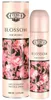 Cuba Original Blossom Eau de Parfum, 100ml Anteprima dell’immagine prodotto 3