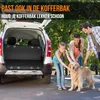 Strex Hondendeken Auto Achterbank en Kofferbak - 137 x 147 Productafbeelding-voorbeeld 4