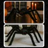 Halloween Spinne 50 cm Riesenspinne Tarantel Deko Schwarz Produktbild-Vorschau 8