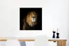MuchoWow® Poster Löwe - Tier - Schwarz 50x50 cm - Produktbild-Vorschau 5