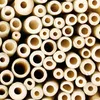Belle Vous Natürliche Bambus Stangen (100er Pack) - L10 x Produktbild-Vorschau 4