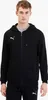 Puma Jacke teamGOAL 23 Casuals Kapuzensweatjacke Produktbild-Vorschau 3