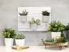 Samolepicí fólie D-C Fix SHABBY WOOD Náhled obrázku produktu 5