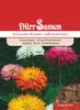 Zinnie Riesen Gärtnerstolz | Zinniensamen von Dürr Samen Produktbild-Vorschau 1