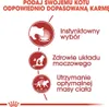 Royal Canin Frischebeutel Instinctive Sauce in Sosse Voir les images du produit 14