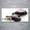 Glasbilder 120x60 Wandbild Druck auf Glas Blumen Steine Produktbild-Vorschau 2