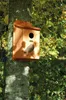 dobar Nistkasten mit Siebdruckmotiv "Star", Vogelhaus Produktbild-Vorschau 4