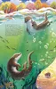 Der kleine Otter - Zu Hause in den Flüssen Europas Produktbild-Vorschau 4